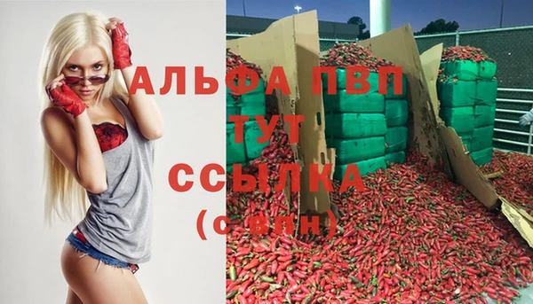 тгк Пестово