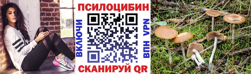 Галлюциногенные грибы мухоморы Цимлянск